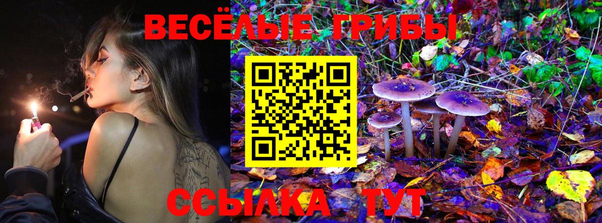 как найти закладки  Псилоцибиновые грибы мицелий  Вход с VPN  Узловая  Псилоцибиновые грибы Magic Shrooms 